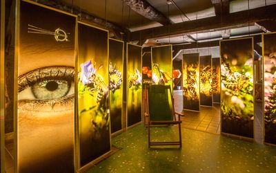 Ausstellung Bienenwelten in Niederhaverbeck Ausstellung Bienenwelten in Niederhaverbeck